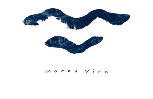 San Pedro Pochutla House | M a r e a V i v a - O a x a c a