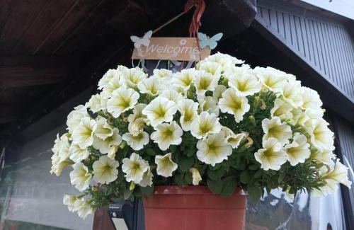 Grabovac Apartment | M&S&N