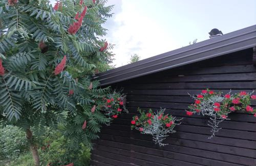 Grabovac Apartment | M&S&N