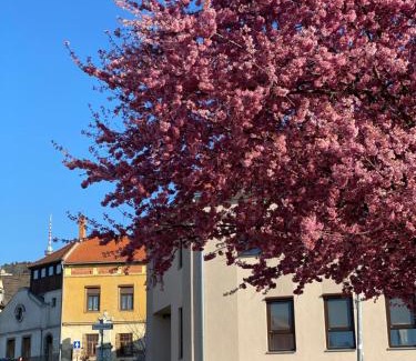 Pecs Apartment | M18 - Csak egy lépés a történelmi belváros - free parking