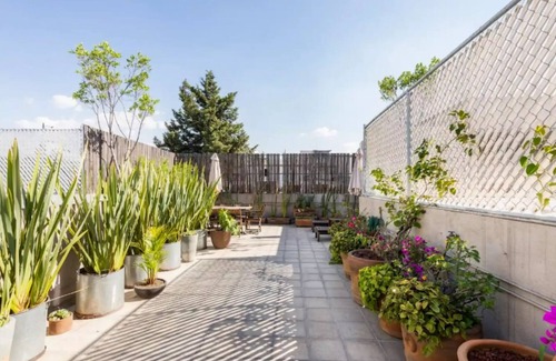 La Condesa Apartment | M303- 2BR/2BTH - One Bedroom Apartment, Sleeps 5