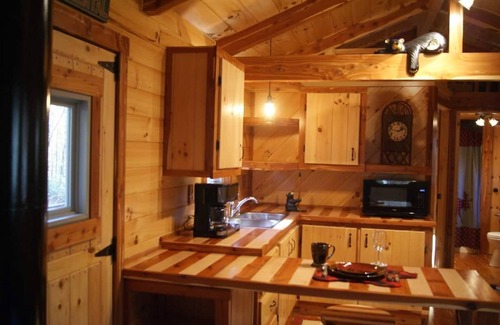 Burton Cabin | Ma & Pa’s Cabin Getaway Amish Country Outdoor Bath