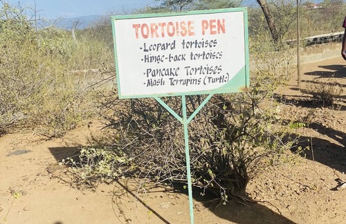Narok House | Maasai Mara game reserve Bungalows in the wild nProper view of wildlife