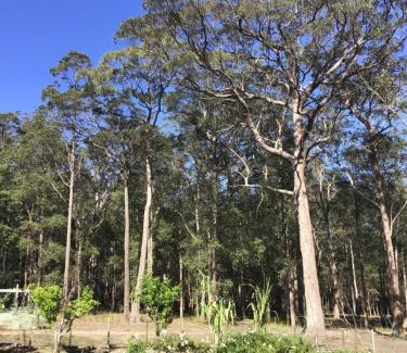 Woollamia House | Macyland