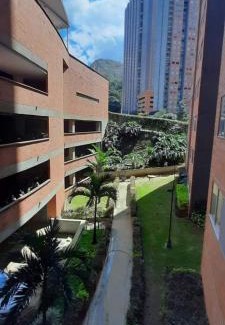 Bello Apartment | Madera natural 902