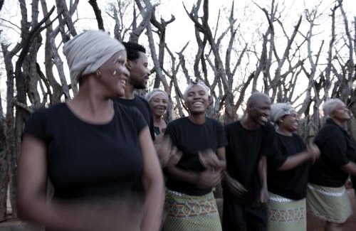 Madikwe Game Reserve Cabin | Madikwe Hills Private Game Lodge