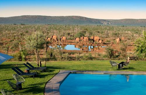 Madikwe Game Reserve Cabin | Madikwe Safari Lodge
