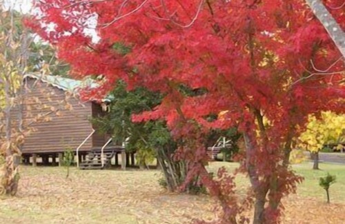 Kurrajong Heights Cottage | Madison's Mountain Retreat
