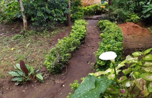 Soni House | Magamba eco-cultural tourism Farm Stay & Campsite