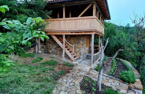 Dimitrovgrad Apartment | Magarija 2