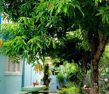 Legazpi House | MAGAYON BLUE HOUSE IN THE HEART OF LEGAZPI