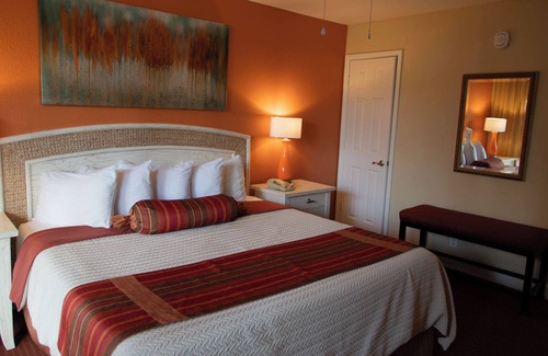 West Kissimmee Resort | Magic Tree Resort 1 Bedroom - Close Proximity to ALL Theme Parks