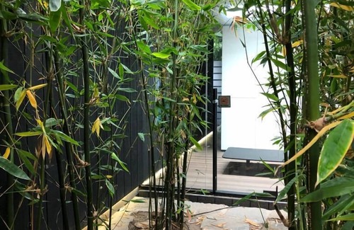 Sawtelle Japantown Apartment | magical garden studio amongst a bamboo forrest