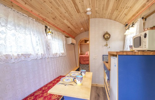 Fairplay Cottage | ☆ Magical Gypsy Wagon ☆ Unique Mountain Getaway