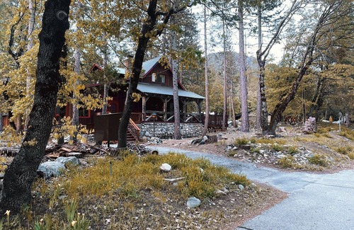 Sierra City Cabin | Magical Lost Sierra Bungalow! Dog friendly, mountain paradise!