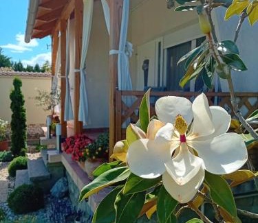 Villany Apartment | Magnólia Vendégház