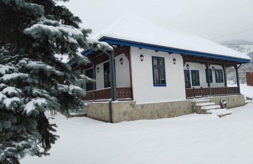 Tirgu Ocna Cabin | MAGNETIC HOUSE