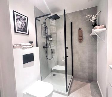 Quartier du Sablon - Zavelwijk Apartment | Magnificent apartment in Sablon