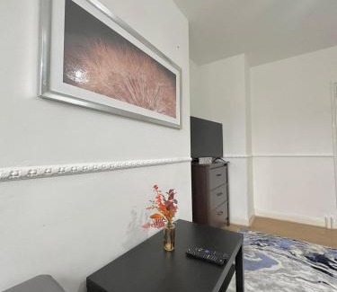 Bethnal Green Apartment | Magnificent Luxurious Apartment for 6ppl In Bethnal Green