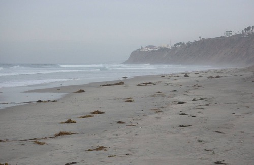 Ensenada Condo | MAGNIFICENT 3 BED/2 BATH BEACH FRONT OASIS 18 MILES SOUTH OF ROSARITO