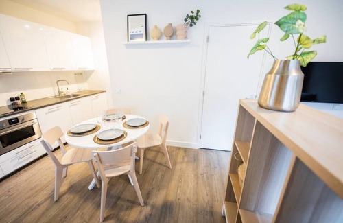 Binnenstad Apartment | Magnificent Two Bedroom Apartment (SD-23-M)