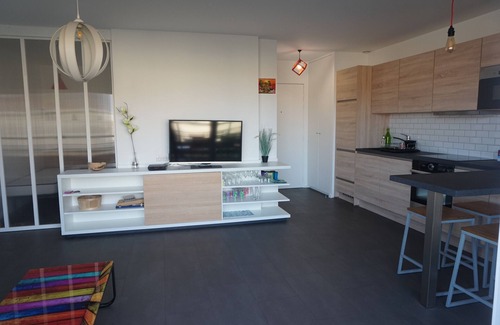 Biscarrosse Plage Apartment | Magnifique T2 Bis avec Terrasse et piscine proche Plage Sud (180)