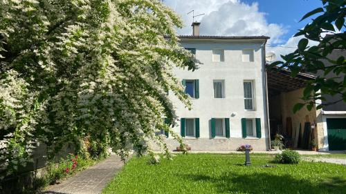Possagno Apartment | Magnolia 41