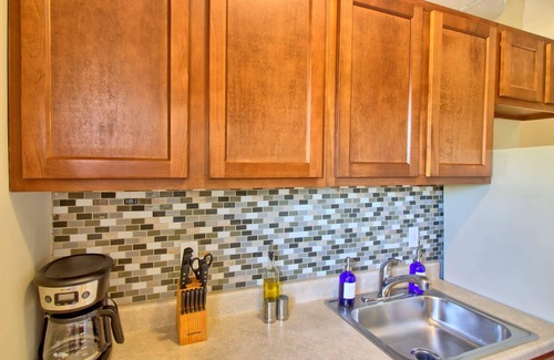 Tower Grove East Apartment | Magnolia at TG Park | Free PK+WD+Pet Friendly