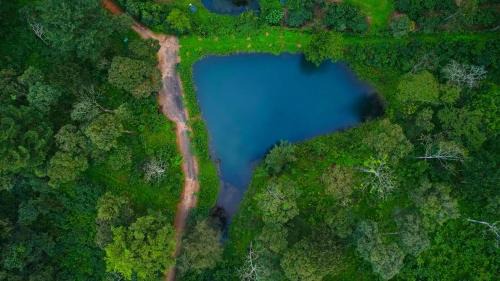 Virarajendrapet Resort | Magnolia Estates & Resorts