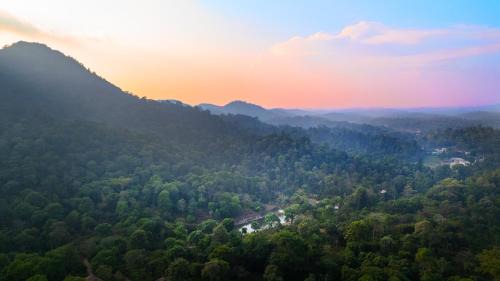 Virarajendrapet Resort | Magnolia Estates & Resorts