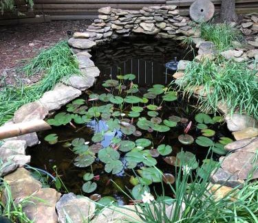 Clover Bed & Breakfast | Magnolia House & Gardens B&B