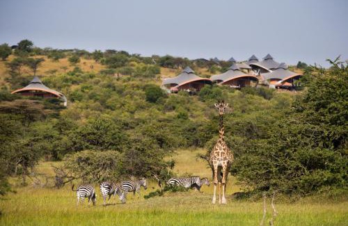Maasai Mara Other | Mahali Mzuri