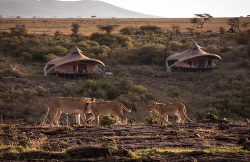 Maasai Mara Other | Mahali Mzuri