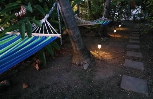 Estate Strawberry Hill House | Mahogany Getaway - Herbal Healing US Virgin Islands
