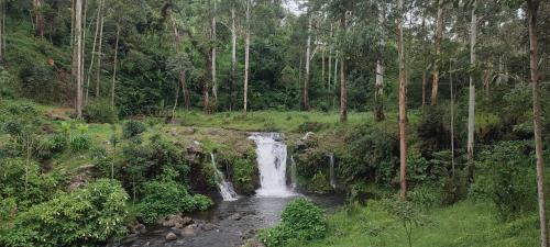 Rombo House | Mai Kilimanjaro Home Stay