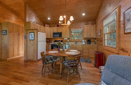 Pisgah Forest House | Mai`s Rock Cabin with view | 2 Bed, 2 Bath