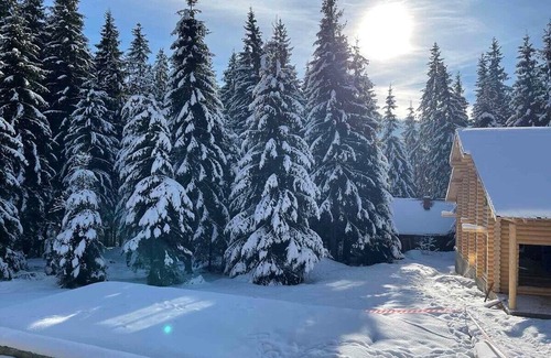 Bukovel Cottage | Maietok Lis i Gory - cottage in Polyanitsya