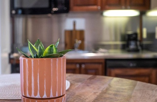 Lexington Apartment | Main St Lexington Modern Loft APT, walk to WLU VMI