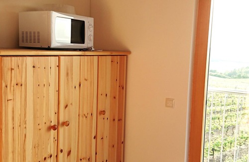 Kitzingen Apartment | Main vacation in the vineyard