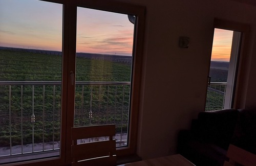 Kitzingen Apartment | Main vacation in the vineyard