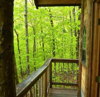 Stoneham House | Maine Woods Treehouse-The Birdie