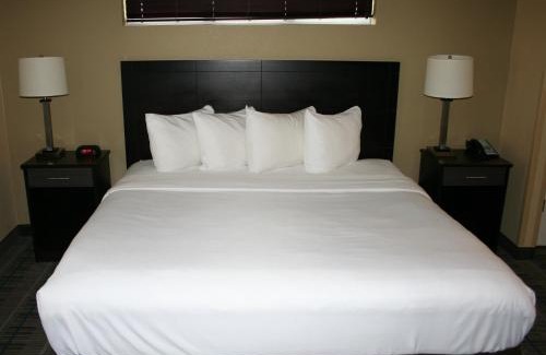 Jacksonville Hotel | MainStay Suites Jacksonville near Camp Lejeune
