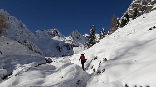 Terento Ski Chalet | Mair am Graben Farm * Chalets