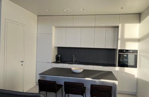 Liberty Avenue Apartment | Maironio apartamentai Laisvė