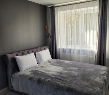 Radviliskis Apartment | Maironio apartamentai
