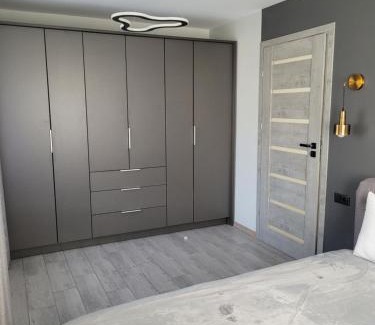 Radviliskis Apartment | Maironio apartamentai