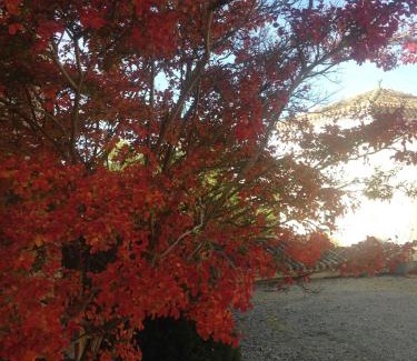 Roquecor House | Maison 2 couchages