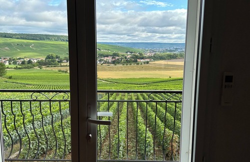 Chavot-Courcourt House | Maison au Coeur du Terroir, à 5 Minutes de L'avenue de Champagne