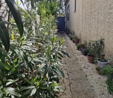 Garrigues House | Maison aux portes des garrigues
