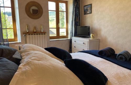 Laprugne House | Maison cocooning à la montagne - activités nature, cheminée, jardin clos, animaux bienvenus - FR-1-489-448